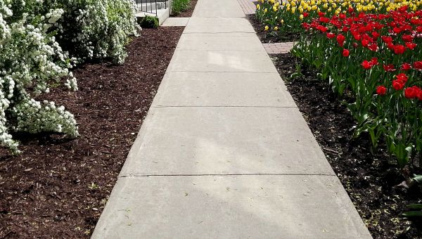 Cost of Concrete Sidewalk Service in Wilmington