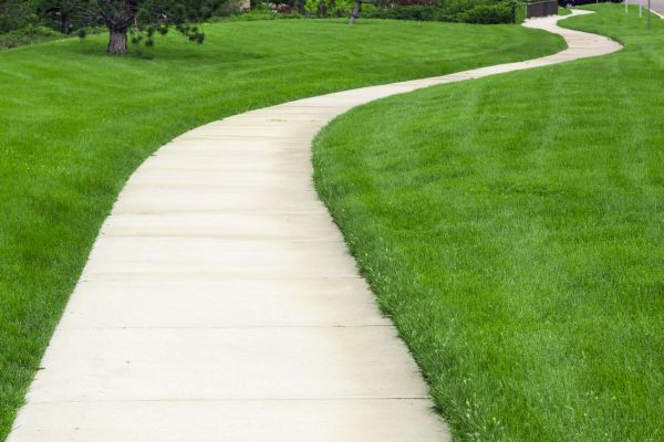 Cost of Sidewalk Paving in Wilmington