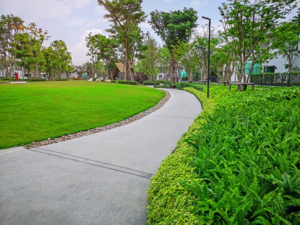 Cost of Cement Walkway Service in Wilmington